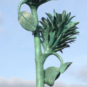 trifolium-c